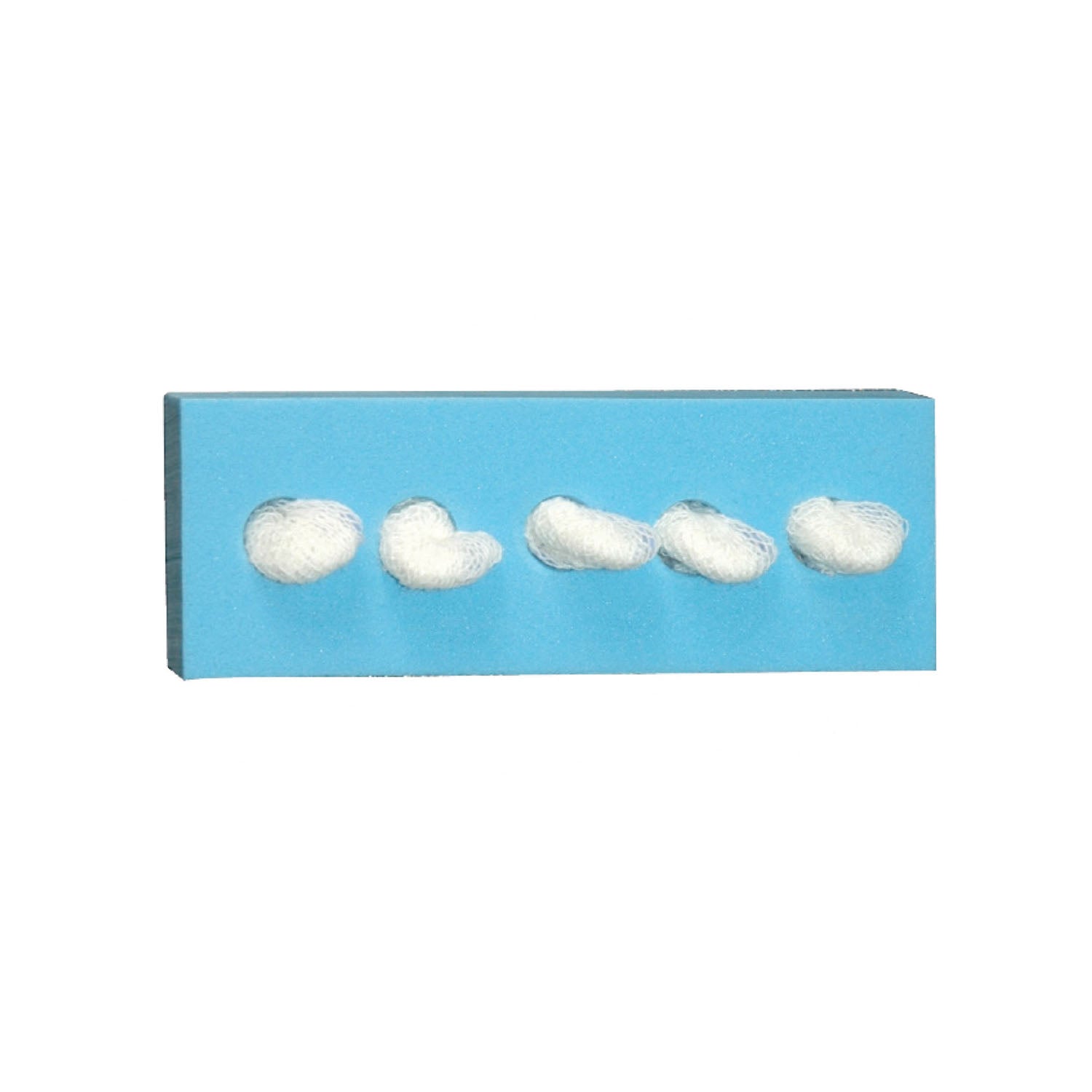 DUKAL CHERRY SPONGES